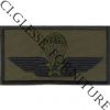 CG18ParBrMilitareV